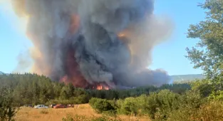 GÜNCELLEME - Karabük'te ormanlık alanda çıkan yangına müdahale ediliyor