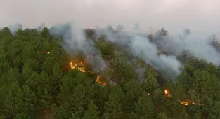 GÜNCELLEME - Kütahya'da ormanlık alanda çıkan yangın kontrol altına alındı