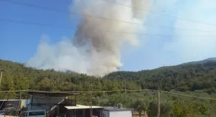GÜNCELLEME - Manisa'da orman yangını çıktı