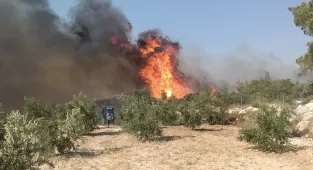 GÜNCELLEME - Mersin'in Silifke ilçesinde çıkan orman yangınına müdahale ediliyor