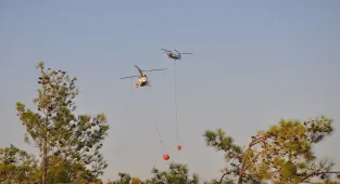GÜNCELLEME - Mersin'in Silifke ilçesindeki orman yangını kontrol altına alındı