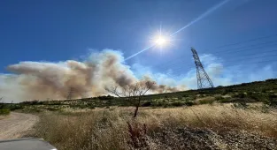 GÜNCELLEME - Silivri'de ormanlık alanda çıkan yangına müdahale ediliyor