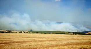 GÜNCELLEME - Tekirdağ'da anız yangını ormana sıçradı