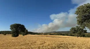 GÜNCELLEME - Uşak ile Manisa'daki yangınlara karadan müdahale ediliyor