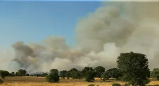 GÜNCELLEME - Uşak'ta tarım arazisinde başlayıp ormanlık alana sıçrayan yangına müdahale ediliyor