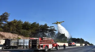 İzmir'de tırda başlayarak ormana sıçrayan yangın büyümeden kontrol altına alındı 