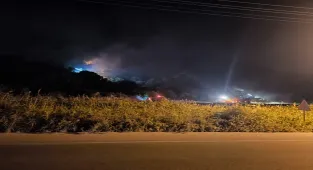 İzmir Dikili'de makilikte çıkan yangına müdahale ediliyor