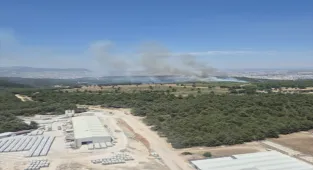 İzmir'in Buca ilçesinde çıkan orman yangınına müdahale ediliyor
