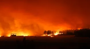 İzmir'in Buca ilçesindeki orman yangınına müdahale sürüyor