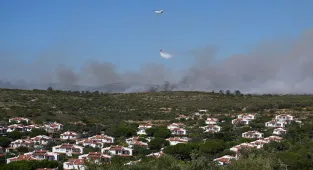 İzmir Valisi Elban'dan Çeşme'deki orman yangınına ilişkin açıklama