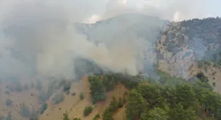 Kahramanmaraş'taki orman yangınına müdahale 3. gününde sürüyor