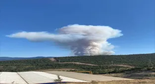 Karabük'te ormanlık alanda çıkan yangın kontrol altına alındı