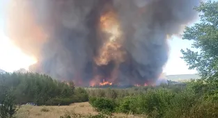 Karabük Valisi Yavuz'dan Safranbolu ve Ovacık'taki orman yangınlarına ilişkin açıklama: