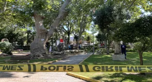 Kocaeli'de çınar ağacından dalın kopması sonucu 1 kişinin öldüğü olay kamerada