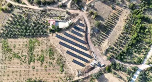 Kuraklıktan etkilenen zeytin bahçeleri devlet desteğiyle kurulan sulama sistemiyle hayat buluyor