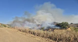 Manisa'da makilik alanda çıkan yangına müdahale ediliyor