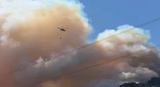 Sakarya'da ormanlık alanda çıkan yangına müdahale ediliyor