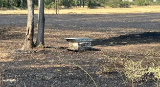 Seydişehir'de anız yangınında 3 depo zarar gördü