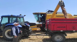 Sorgun'da buğday hasadı başladı