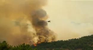 Uşak'ta çıkan orman yangını kontrol altına alındı