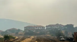 Uşak'ta çıkan orman yangınına müdahale sürüyor