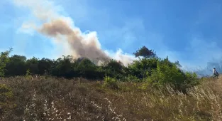 Zonguldak'ta fındıklıkta başlayıp ormanlık alana sıçrayan yangın kontrol altına alındı