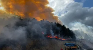 Bolu'da ormanlık alanda çıkan yangına müdahale ediliyor