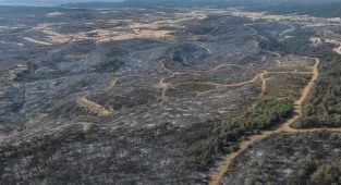 Çanakkale'de yangında zarar gören alanlar dronla görüntülendi