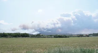 Çanakkale'deki orman yangınına müdahale eden itfaiye aracı alevler arasında kaldı