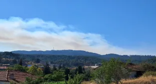 Denizli'de çıkan orman yangınına müdahale sürüyor