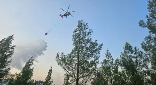 Denizli'nin Acıpayam ilçesinde çıkan orman yangını kontrol altına alındı