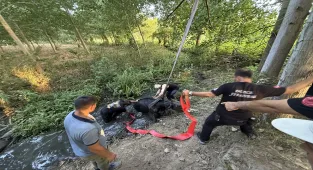 Düzce'de bataklığa saplanan inek kurtarıldı