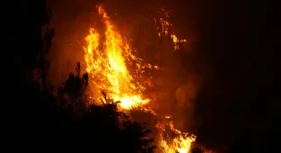 GÜNCELLEME 10 - Çanakkale'de çıkan orman yangınına müdahale ediliyor