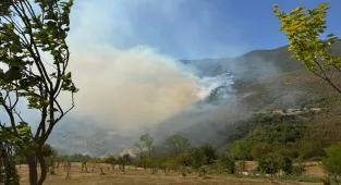 GÜNCELLEME 2 - Bartın'da ormanlık alanda çıkan yangın kontrol altına alındı