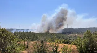 GÜNCELLEME 2 - Çanakkale'de çıkan orman yangınına müdahale ediliyor