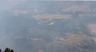 GÜNCELLEME 2 - Çorum'da ormanlık alanda çıkan yangın kontrol altına alındı