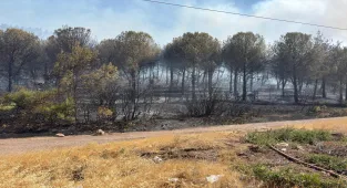 GÜNCELLEME 2 - Manisa Soma'da çıkan orman yangınına müdahale ediliyor