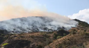 GÜNCELLEME 2 - Tekirdağ'ın Şarköy ilçesinde çıkan orman yangını kontrol altına alındı