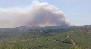 GÜNCELLEME 3 - Mersin'de ormanlık alanda yangın çıktı