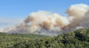 GÜNCELLEME 4 - Kocaeli'de çıkan orman yangınına müdahale ediliyor