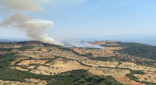 GÜNCELLEME - Aydın'da tarım arazisinde çıkan yangın kontrol altına alındı