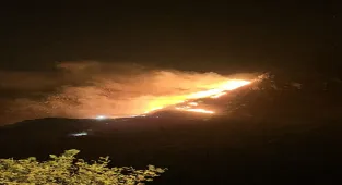 GÜNCELLEME - Balıkesir'de Marmara Adası'nda çıkan orman yangını kontrol altına alındı