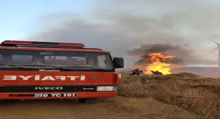 GÜNCELLEME - Balıkesir'deki Paşalimanı Adası'nda çıkan arazi yangını kontrol altına alındı