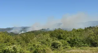 GÜNCELLEME - Bartın'da ormanlık alanda çıkan yangın kontrol altına alındı