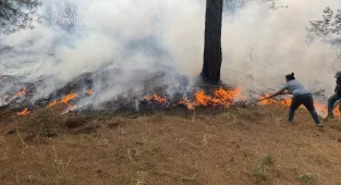 GÜNCELLEME - Çanakkale'de çıkan orman yangını kontrol altına alındı