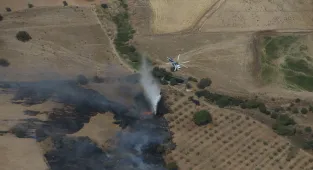 GÜNCELLEME - Çanakkale'de zirai alanda çıkan yangın söndürüldü