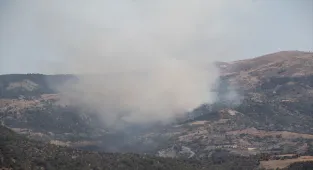 GÜNCELLEME - Çorum'da ormanlık alanda çıkan yangına müdahale sürüyor