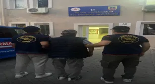 GÜNCELLEME - İzmir'de sahipsiz hayvanların zehirli yiyeceklerle öldürülmesine ilişkin 1 şüpheli tutuklandı