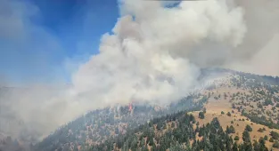 GÜNCELLEME - Kahramanmaraş’ta çıkan orman yangınına müdahale sürüyor
