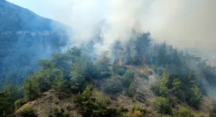 GÜNCELLEME - Karabük'te çıkan orman yangınına müdahale ediliyor